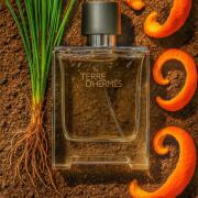 Terre d'Hermès Parfum $_57.PNG?set_id=880000500F