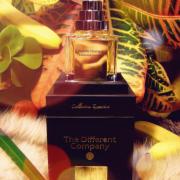 Aurore Nomade The Different Company perfume - a fragrance for