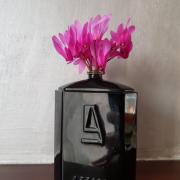 Silver Black Azzaro cologne - a fragrance for men 2005