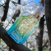 Un Jardin en Méditerranée Hermès perfume - a fragrance for