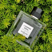 L'Homme Idéal Cologne Forte Guerlain コロン - 2025年の男性用 新着