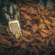 Photo by Bloodberry1