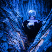 DA1389 Dior プワゾン　ESPRIT DE PARFUM 30ml Poison Esprit de Parfum Dior perfumy - to perfumy dla kobiet