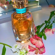 香水(女性用) Tiffany & Co. Rose Gold 75ml Amazon.com : Tiffany & Co. Tiffany Rose Gold Eau de Parfum