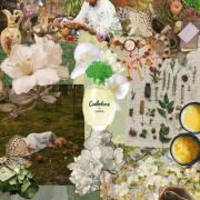 Photo by TheTeaWitch🐈⬛