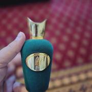 Photo by Muhammed Zubair