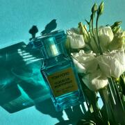 Fleur de Portofino Tom Ford perfume - a fragrance for women