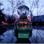 Gemma di Paradiso Roberto Cavalli perfume - a fragrance for women 2018