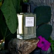 Photo by Фиолетовая фантазия