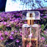 Estee lauder discount beyond paradise fragrantica