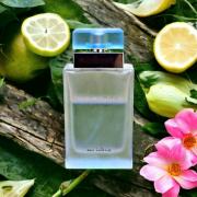 Light Blue Eau Intense Dolce&Gabbana perfume - a fragrance for women 2017