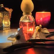 Narcisse chloe fragrantica 2025