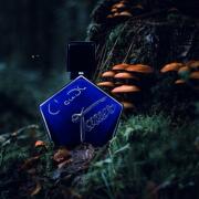 L'Oudh Tauer Perfumes perfume - a fragrance for