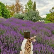 Photo by Марина Ши