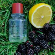 Photo by vrednaya_bobriha