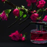 ann gerard rose cut