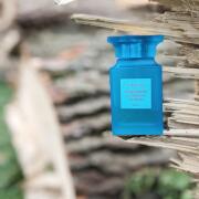 Mandarino di Amalfi Acqua Tom Ford perfume - a fragrance for