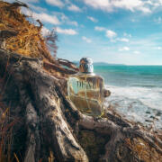 香水(男性用) LAST NEST Sun Grey Dune 50ml Silverwood Polarized Sunglasses - Matte Tortoise / Ultra