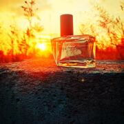 Photo by JeanBaptisteEmanuel Zorg