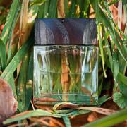香水(男性用) GUERLAIN L'EAU BOISEE 100ml /80% Guerlain Homme L'Eau Boisée Guerlain cologne - a