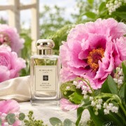 Peony & Blush Suede Jo Malone London 香水- 一款2013年女用香水