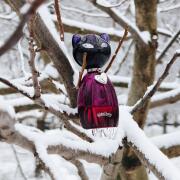 Photo by Эльга К