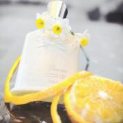 Photo by Muhammed Zubair