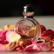Eros Pour Femme Versace perfume - a fragrance for women 2014