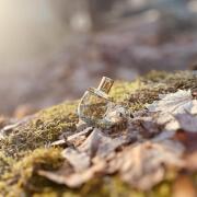 Photo by симонетта веспуччи