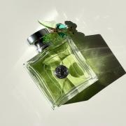 Versense Versace perfume - a fragrance for women 2009