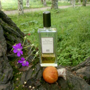 Photo by Lady Winter