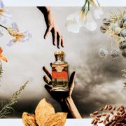 The Dreamer Versace cologne - a fragrance for men