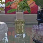 La Cautiva Fueguia 1833 perfume - a fragrância Compartilhável 2010