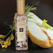 English Pear amp Freesia Jo Malone London perfume a