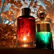 Étoile d'une Nuit - Les Parfums de Géraldine