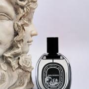 Philosykos fragrantica online