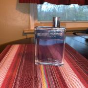 prada amber pour homme fragrantica