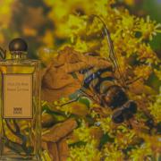 Photo by Bloodberry1