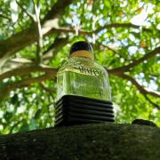 Photo by симонетта веспуччи