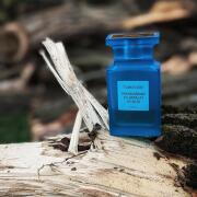 Mandarino di Amalfi Acqua Tom Ford perfume - a fragrance for