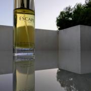 Escape for Men Calvin Klein cologne - a fragrance for men 1993