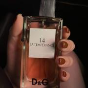 D&amp;G Anthology La Temperance 14 Dolce&amp;Gabbana perfume - a  fragrance for women 2011