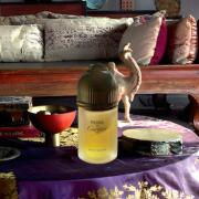 Photo by Leonardo Rei