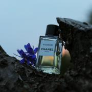 Les Exclusifs de Chanel Sycomore Chanel perfume - a fragrance for women and  men 2008
