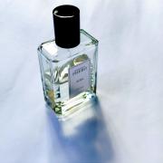Aura Phebo perfume - a fragrance for women and men 2019