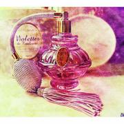 violettes de toulouse perfume
