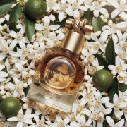 Knot Bottega Veneta parfum - un parfum de dama 2014