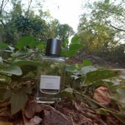 Neroli Woods Banana Republic perfume - a fragrance for women and