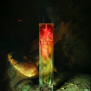 Envy Gucci perfume - a fragrance for women 1997