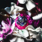 香水(ユニセックス) Christian Dior POISON ESPRIT DE PARFUM Poison Esprit de Parfum Dior perfume - a fragrance for women